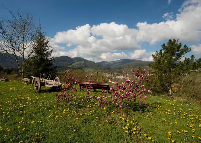 Turisticos Bizkar Bare