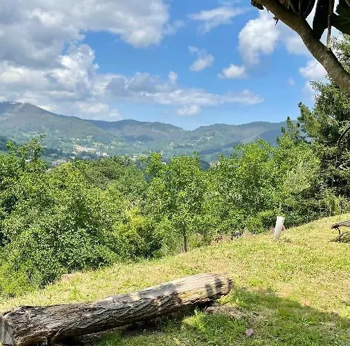 Turisticos Bizkar Bare * Sopuerta