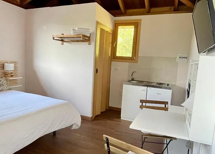 Turisticos Bizkar Bare *