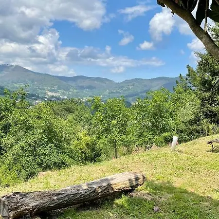 Turisticos Bizkar Bare * Sopuerta