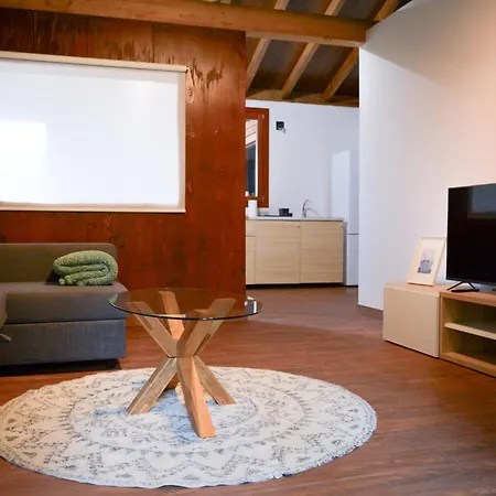 Turisticos Bizkar Bare Apartment